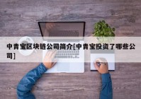 中青宝区块链公司简介[中青宝投资了哪些公司]