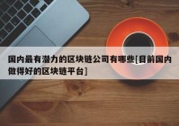 国内最有潜力的区块链公司有哪些[目前国内做得好的区块链平台]